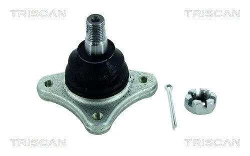 Trag-/Führungsgelenk TRISCAN 8500 42531 Bild Trag-/Führungsgelenk TRISCAN 8500 42531