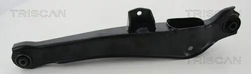 Lenker, Radaufhängung TRISCAN 8500 42550