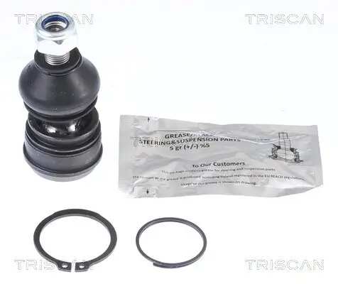 Trag-/Führungsgelenk TRISCAN 8500 42561 Bild Trag-/Führungsgelenk TRISCAN 8500 42561
