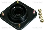 Federbeinstützlager Vorderachse TRISCAN 8500 43902