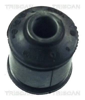 Lagerung, Lenker Hinterachse unten vorne TRISCAN 8500 65806
