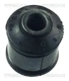 Lagerung, Lenker Hinterachse unten vorne TRISCAN 8500 65806
