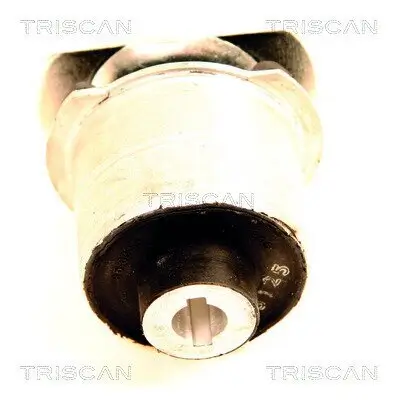 Lagerung, Achskörper Hinterachse vorne TRISCAN 8500 65835