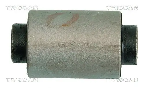 Lagerung, Lenker Vorderachse innen unten vor der Achse TRISCAN 8500 69802