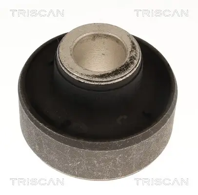 Lagerung, Lenker Vorderachse beidseitig TRISCAN 8500 69816