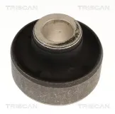 Lagerung, Lenker Vorderachse beidseitig TRISCAN 8500 69816