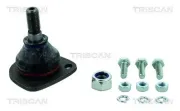 Trag-/Führungsgelenk TRISCAN 8500 705