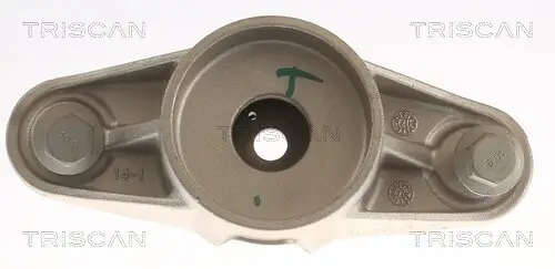 Federbeinstützlager Hinterachse TRISCAN 8500 81900