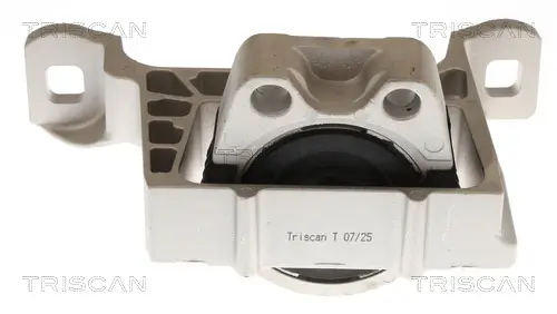 Lagerung, Motor TRISCAN 8505 10104 Bild Lagerung, Motor TRISCAN 8505 10104