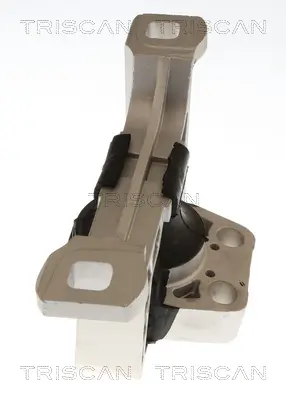 Lagerung, Motor TRISCAN 8505 10104 Bild Lagerung, Motor TRISCAN 8505 10104