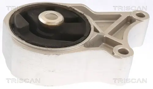 Lagerung, Motor vorne TRISCAN 8505 10110