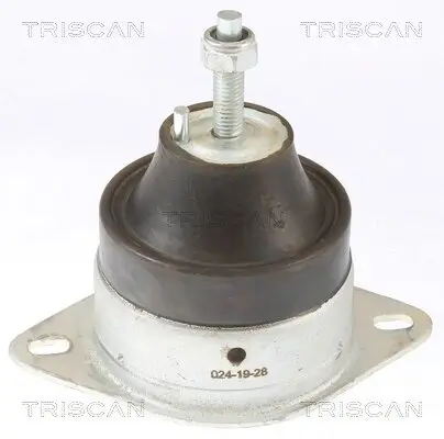 Lagerung, Motor TRISCAN 8505 10119