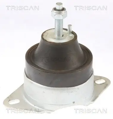 Lagerung, Motor TRISCAN 8505 10119 Bild Lagerung, Motor TRISCAN 8505 10119