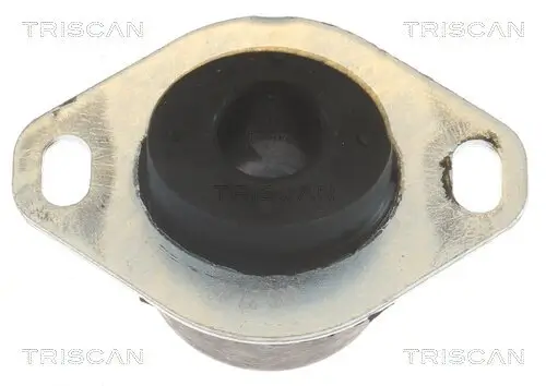 Lagerung, Motor TRISCAN 8505 10122 Bild Lagerung, Motor TRISCAN 8505 10122