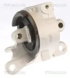 Lagerung, Motor TRISCAN 8505 10129