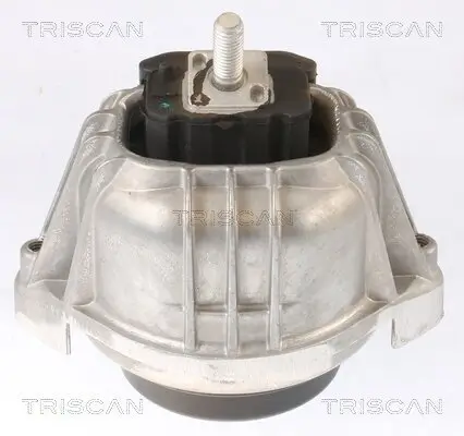 Lagerung, Motor TRISCAN 8505 11104