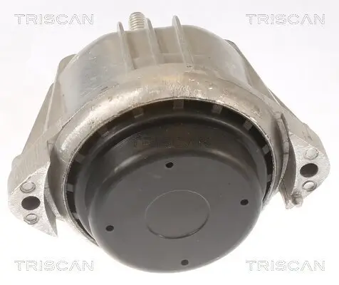 Lagerung, Motor TRISCAN 8505 11106 Bild Lagerung, Motor TRISCAN 8505 11106