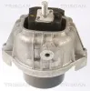 Lagerung, Motor links vorne TRISCAN 8505 11110