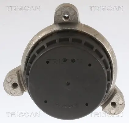 Lagerung, Motor TRISCAN 8505 11118 Bild Lagerung, Motor TRISCAN 8505 11118