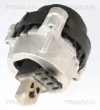 Lagerung, Motor links vorne TRISCAN 8505 11124