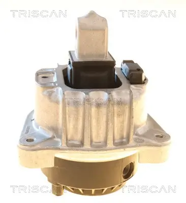 Lagerung, Motor TRISCAN 8505 11131