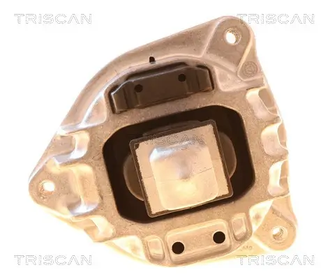 Lagerung, Motor TRISCAN 8505 11131 Bild Lagerung, Motor TRISCAN 8505 11131