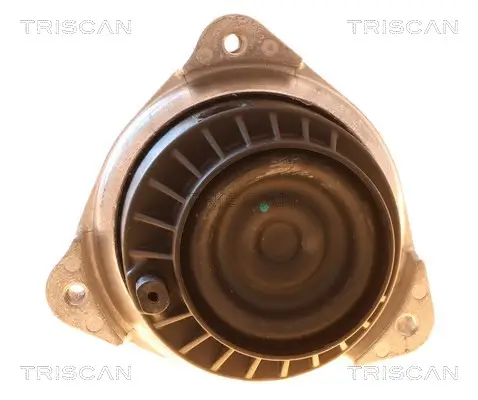 Lagerung, Motor TRISCAN 8505 11131 Bild Lagerung, Motor TRISCAN 8505 11131