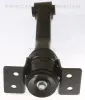 Lagerung, Motor TRISCAN 8505 16100 Bild Lagerung, Motor TRISCAN 8505 16100