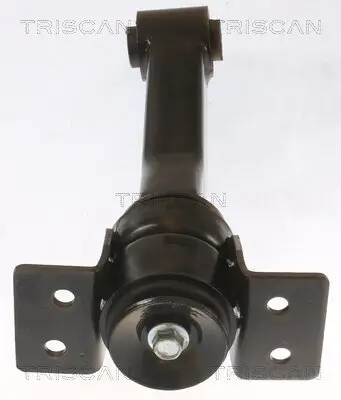 Lagerung, Motor TRISCAN 8505 16100 Bild Lagerung, Motor TRISCAN 8505 16100