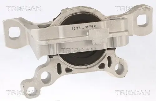 Lagerung, Motor TRISCAN 8505 16111 Bild Lagerung, Motor TRISCAN 8505 16111