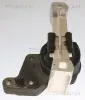 Lagerung, Motor TRISCAN 8505 16113 Bild Lagerung, Motor TRISCAN 8505 16113
