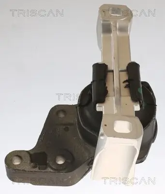 Lagerung, Motor TRISCAN 8505 16113 Bild Lagerung, Motor TRISCAN 8505 16113