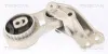 Lagerung, Motor hinten unten TRISCAN 8505 16117 Bild Lagerung, Motor hinten unten TRISCAN 8505 16117
