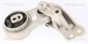 Lagerung, Motor hinten unten TRISCAN 8505 16117