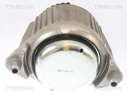 Lagerung, Motor TRISCAN 8505 23101 Bild Lagerung, Motor TRISCAN 8505 23101