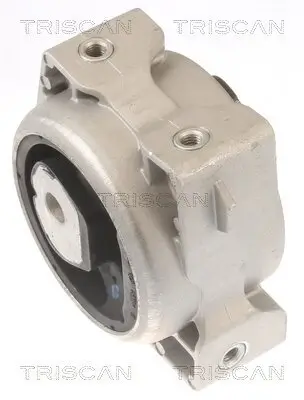 Lagerung, Motor TRISCAN 8505 23103 Bild Lagerung, Motor TRISCAN 8505 23103