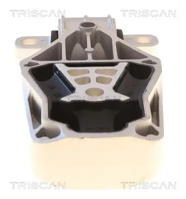 Lagerung, Motor TRISCAN 8505 23116 Bild Lagerung, Motor TRISCAN 8505 23116