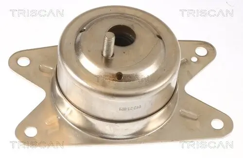 Lagerung, Motor TRISCAN 8505 24111 Bild Lagerung, Motor TRISCAN 8505 24111