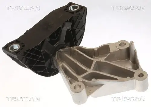 Lagerung, Motor TRISCAN 8505 25118 Bild Lagerung, Motor TRISCAN 8505 25118