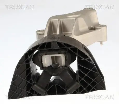 Lagerung, Motor TRISCAN 8505 25129 Bild Lagerung, Motor TRISCAN 8505 25129