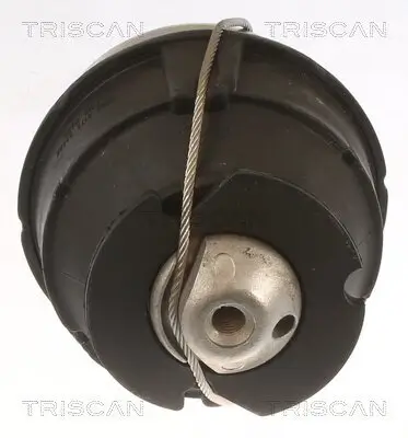 Lagerung, Motor TRISCAN 8505 27103 Bild Lagerung, Motor TRISCAN 8505 27103