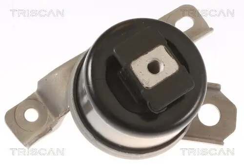 Lagerung, Motor TRISCAN 8505 27107