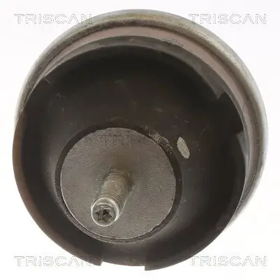 Lagerung, Motor TRISCAN 8505 28114 Bild Lagerung, Motor TRISCAN 8505 28114