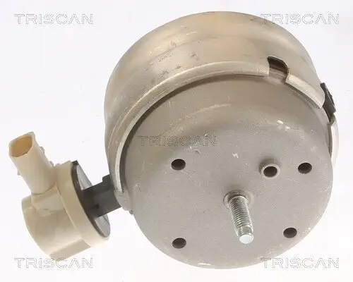 Lagerung, Motor TRISCAN 8505 29111 Bild Lagerung, Motor TRISCAN 8505 29111