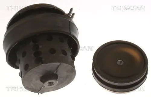 Lagerung, Motor TRISCAN 8505 29118 Bild Lagerung, Motor TRISCAN 8505 29118