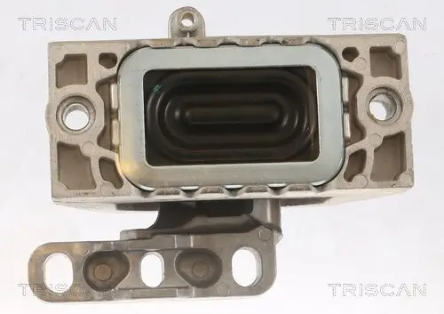 Lagerung, Motor TRISCAN 8505 29125 Bild Lagerung, Motor TRISCAN 8505 29125