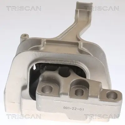 Lagerung, Motor TRISCAN 8505 29129 Bild Lagerung, Motor TRISCAN 8505 29129
