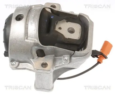 Lagerung, Motor TRISCAN 8505 29133 Bild Lagerung, Motor TRISCAN 8505 29133