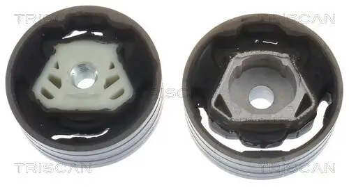 Lagerung, Motor TRISCAN 8505 29137 Bild Lagerung, Motor TRISCAN 8505 29137