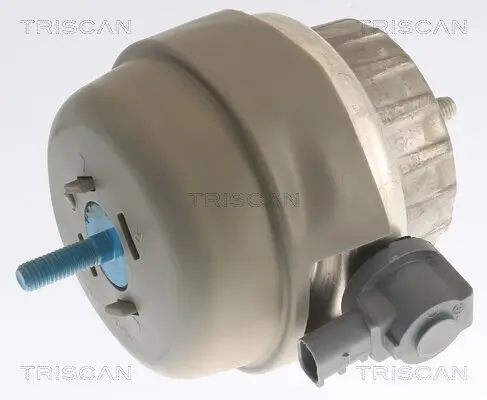 Lagerung, Motor TRISCAN 8505 29141 Bild Lagerung, Motor TRISCAN 8505 29141